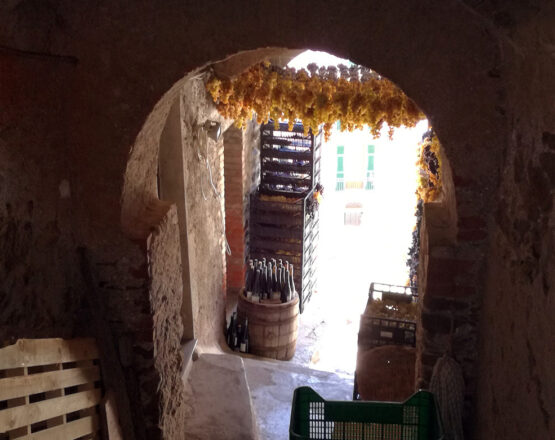 cinque terre wine tours shore excursions from la spezia