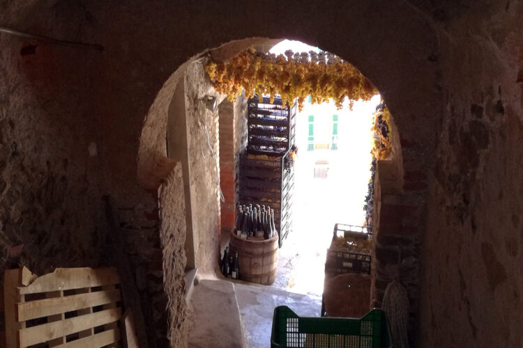 cinque terre wine tours shore excursions from la spezia