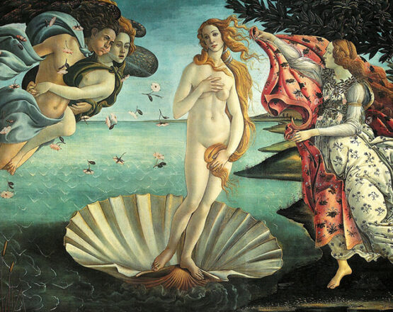 florence, uffizi museum, venus of botticelli.