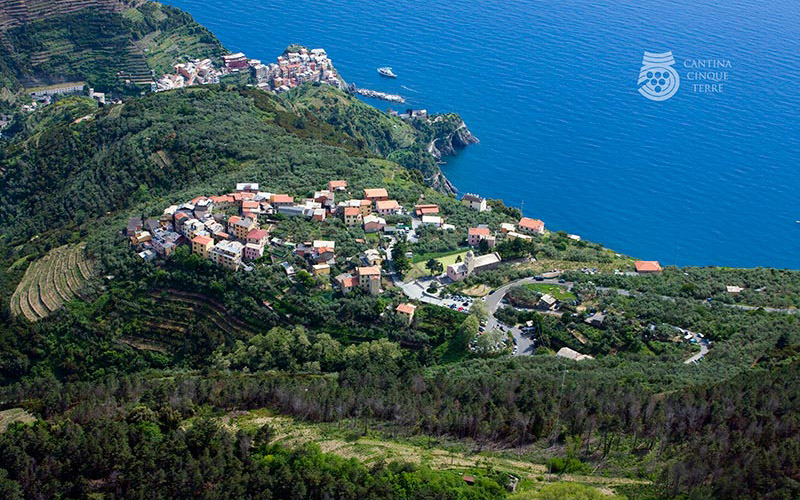 cinque terre and portovenere shore excursion from la spezia