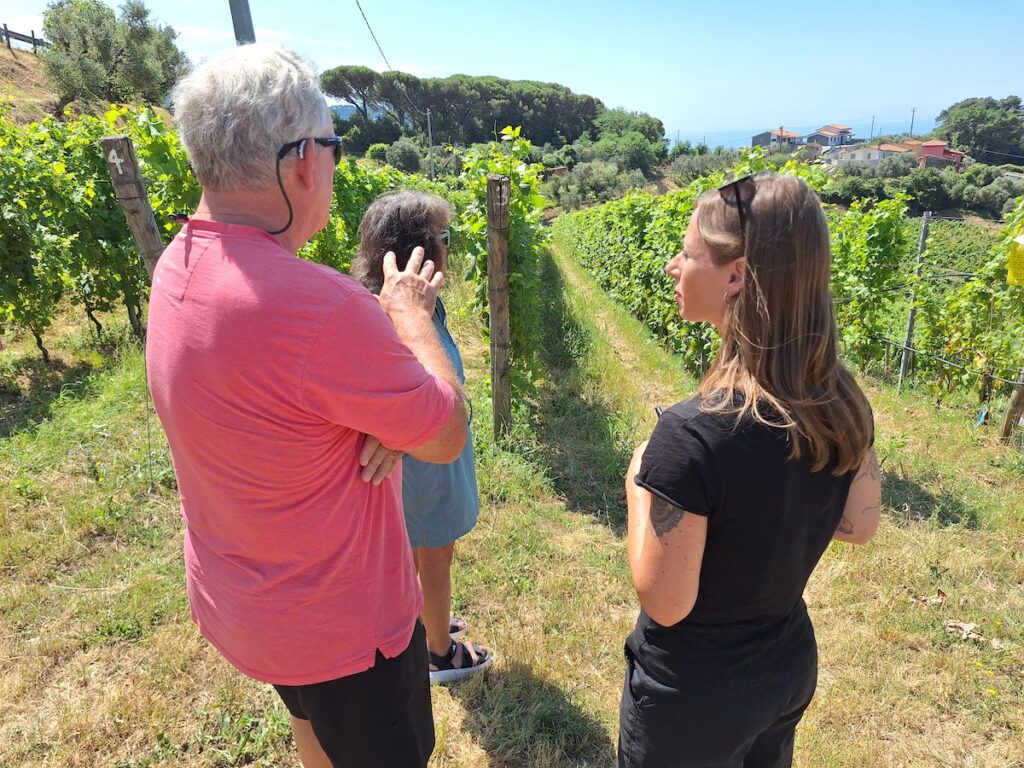 luni hills wine, visit of the wine farm