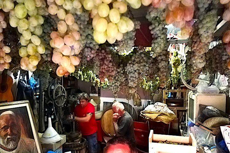 making the wine in monterosso, cinque terre