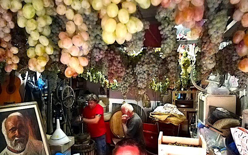 making the wine in monterosso, cinque terre