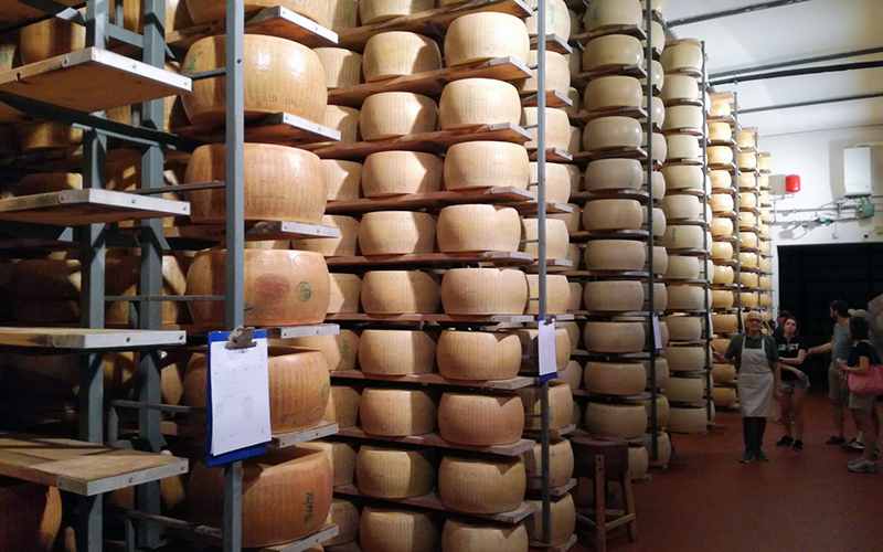 storage with two thousand wheels of parmigiano cheese