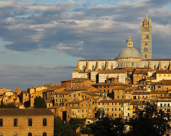 siena san gimignano shore trips from livorno