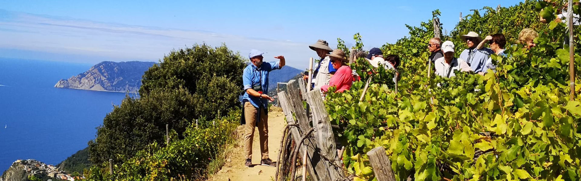 cinque terre private tours, guided walks, shore excursions