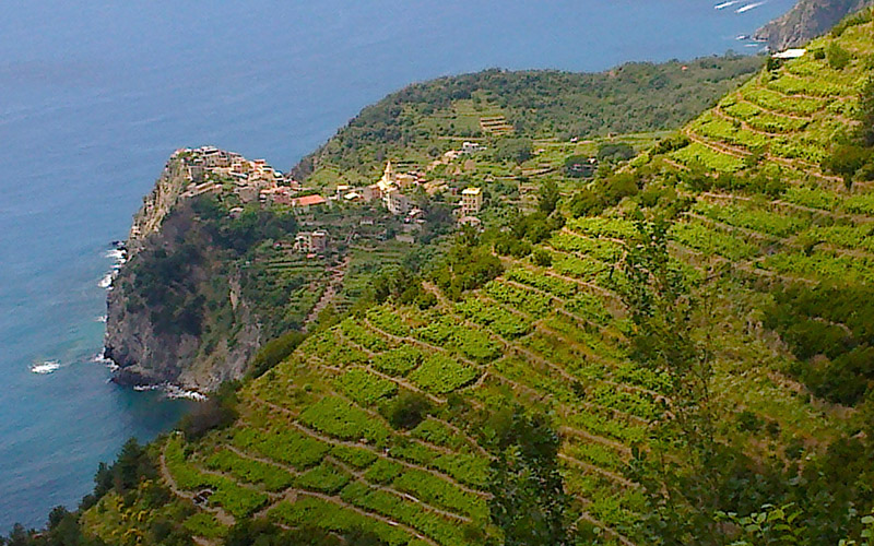 cinque terre from florence and tuscany, corniglia