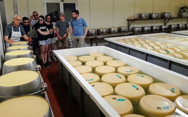 the making of parmigiano cheese, shore excursion from la spezia