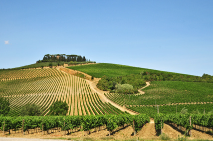 Chianti, tuscan countryside 