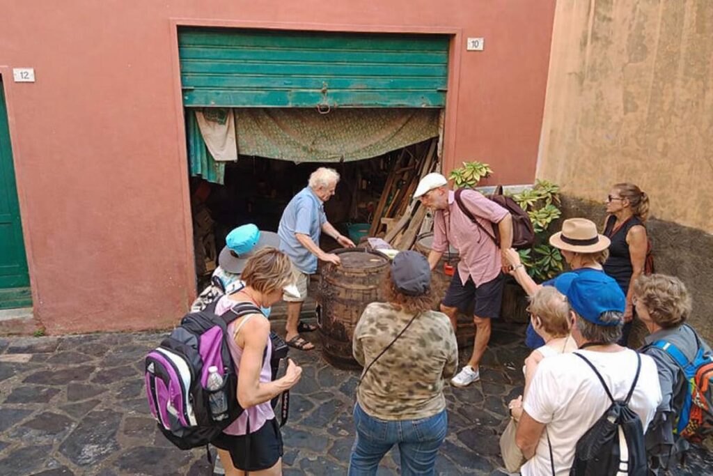 local guide explaining the wine making in monterosso