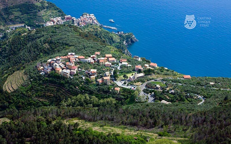view of corniglia and volastra from the panoramic road of the cinque terre